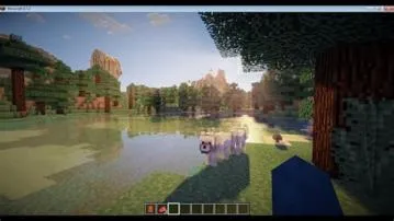 Why is my minecraft graphics not working?