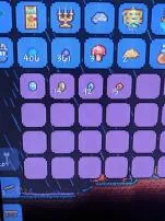 What happens if you get 100 platinum coins in terraria?