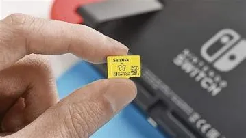 What is the largest microsd card for switch?