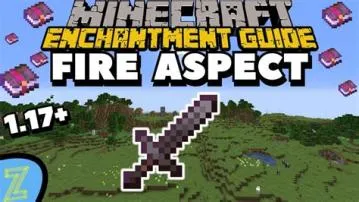 Can you put fire aspect on an axe?