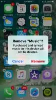 Does ditto remove music?