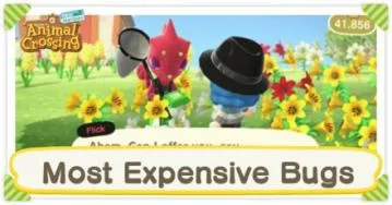 What is the most expensive bug to sell in animal crossing?