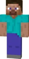 How old is steve from minecraft?