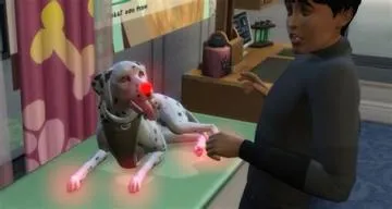 Can your pet get sick in sims 4?