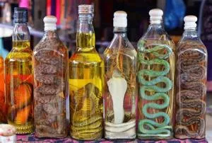Is snake wine real?