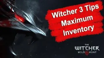 What is the maximum inventory in the witcher 3?
