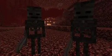 How tall is the wither?