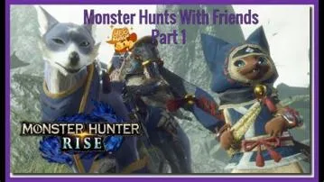 How does monster hunter coop work?