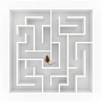 What does mice in a maze mean?