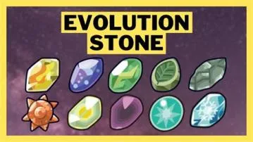 What does oval stone evolve?