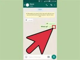How can i read my childs whatsapp messages?