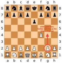 What is the fewest moves in chess?