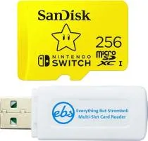Is sandisk 256gb compatible with switch?