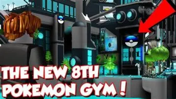 What type is the 8th gym?