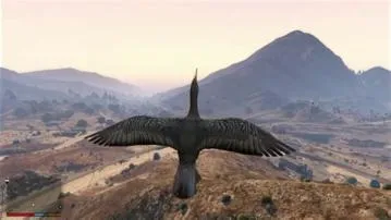 Is there birds in gta 5?
