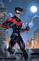 What is red nightwing?