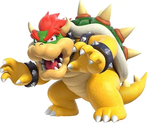 Does bowser have hair