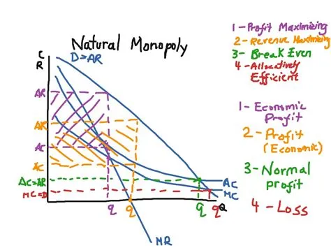 Which is most likely to be a natural monopoly