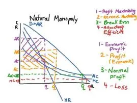 Which is most likely to be a natural monopoly?