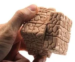 What part of the brain does a rubiks cube?