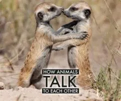 Why cant some animals talk?