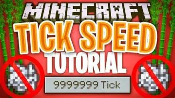 How many minecraft ticks are in a second?