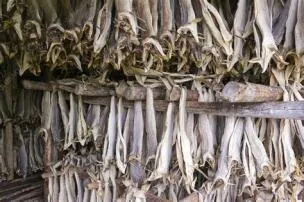 Which country owns stockfish?