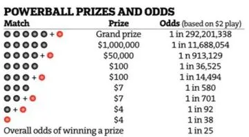 How much do you win with 2 to 5 odds?