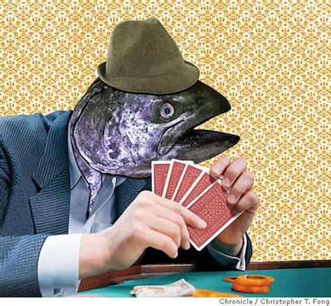 Why are poker players called fish