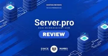 Is server pro 24 7 free?