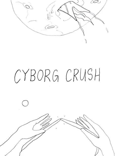 Who is the crush of cyborg