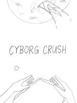Who is the crush of cyborg?