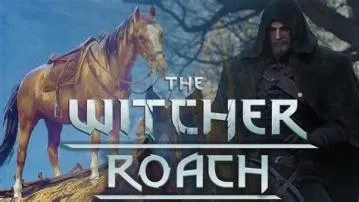 Why does geralt call his horses roach?