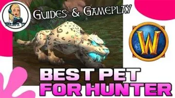 What is the best hunter pet to level with wow?