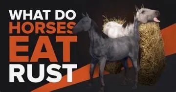 Can horses eat in rust?