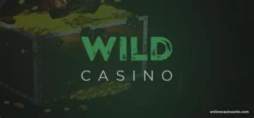 Does wild casino accept us players?
