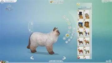 How long is a pets life in sims 4?