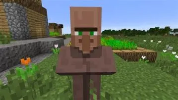 Who is the first villager?