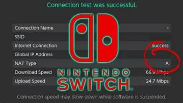 How do i find my nat type on a switch?