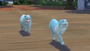 Can sims adopt stray pets?