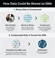 Can dna store data?
