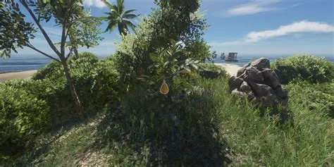 What to do with wavulavula in stranded deep