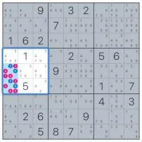 What is a hidden pair in sudoku?
