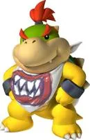 How old was bowser jr?