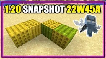 What does the 1.20 snapshot add?