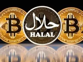 Is it halal to invest in bitcoin?