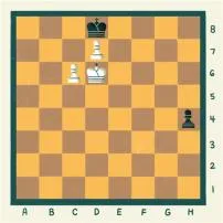 Can a soldier check king in chess?