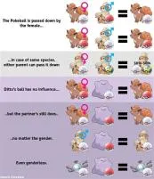 Can you breed starter pokémon with ditto violet?