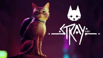 Is stray free on steam?