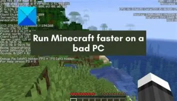Why does minecraft run so poorly on my pc?